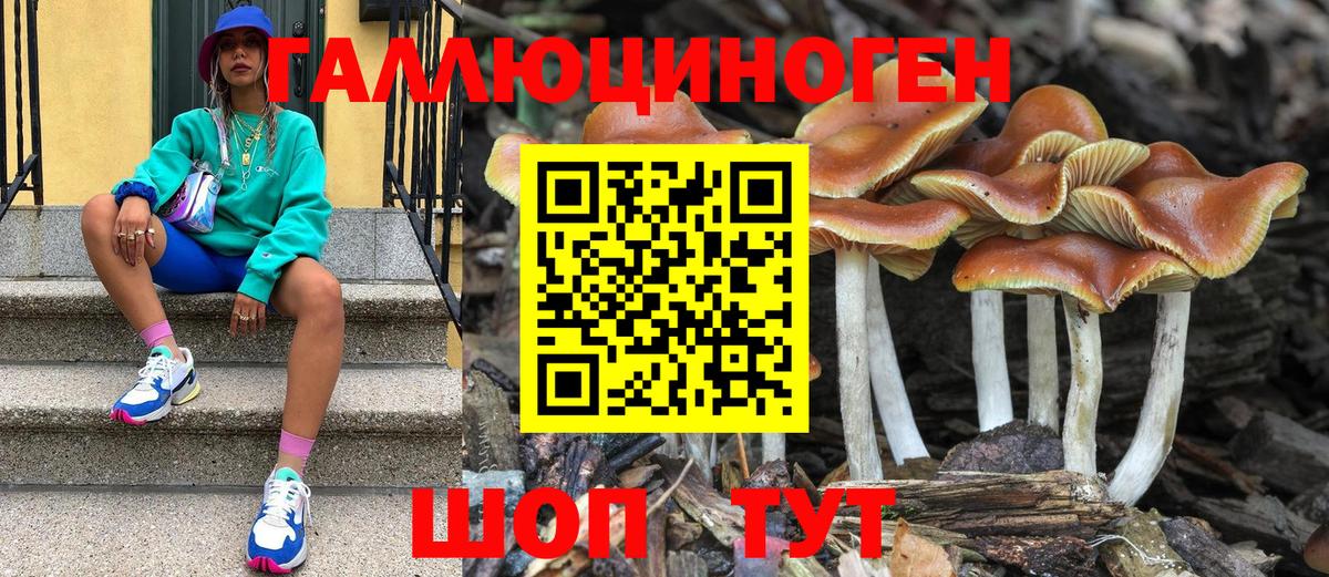 Псилоцибиновые грибы GOLDEN TEACHER Кропоткин